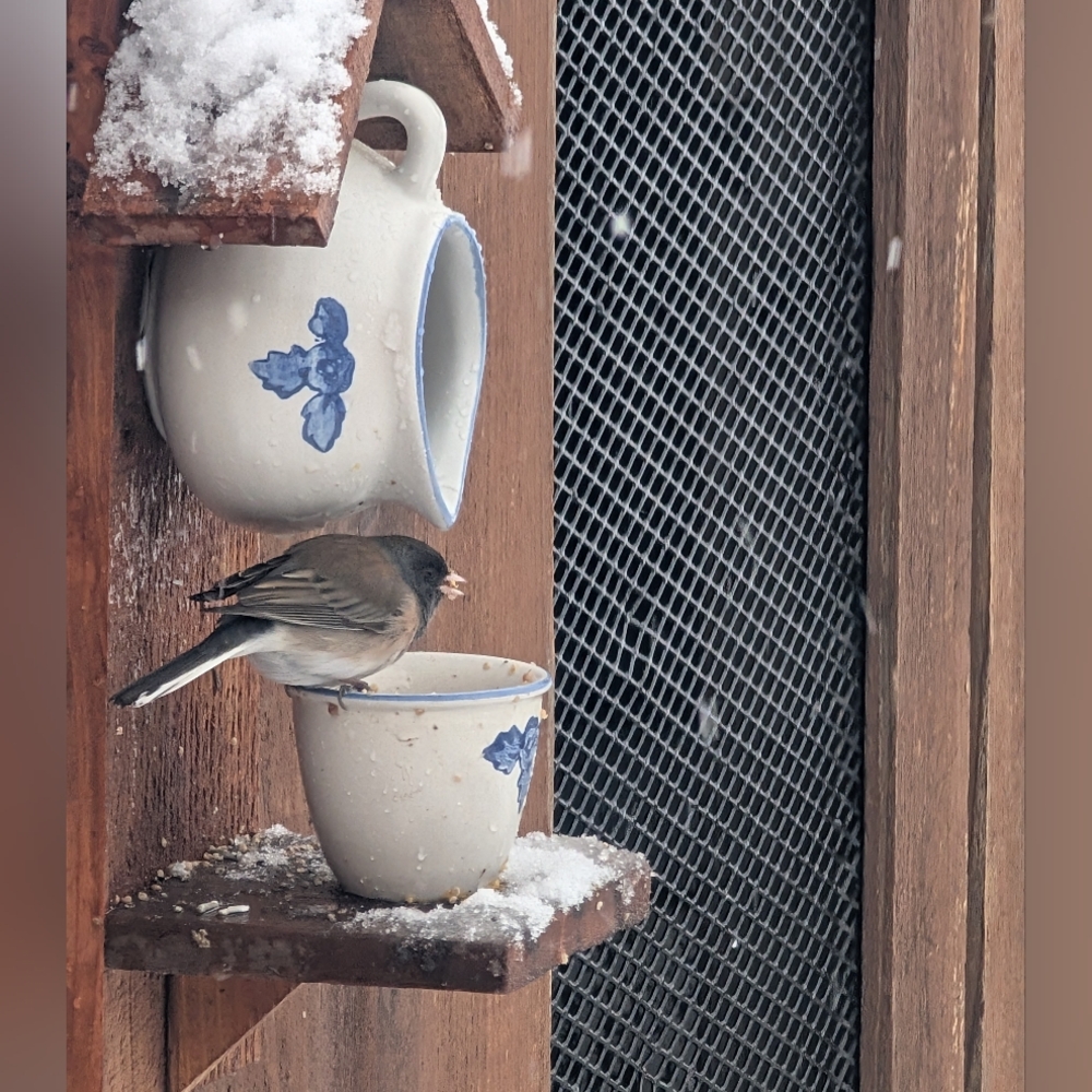 Rustic Wooden Handmade Bird Feeder Penguin With The Birds - Picture 10 of 15